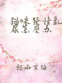 猫咪发情乱拉乱尿怎么办