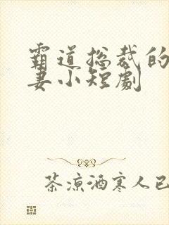 霸道总裁的小娇妻小短剧