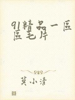 91精品一区二区毛片