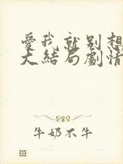 爱我就别想太多大结局剧情