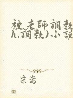 被老师调教(高h,调教)小说