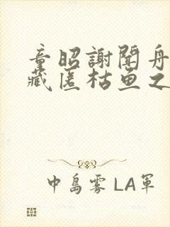 童昭谢闻舟往事藏匿枯鱼之肆的小说