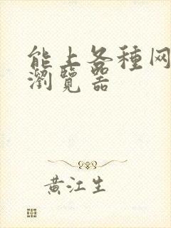 能上各种网站的浏览器