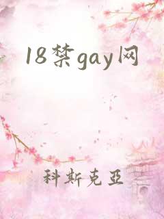 18禁gay网