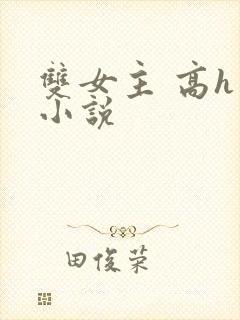 双女主 高h 小说