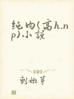 纯肉(高h.np)小说