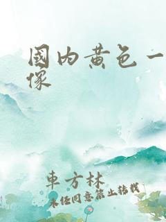 国内黄色一级录像