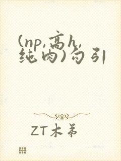 (np,高h,纯肉)勾引