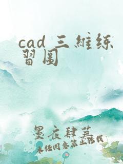 cad 三维练习图