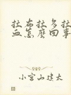 拉布拉多拉稀带血怎么回事