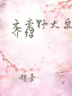 文豪野犬泉镜花介绍