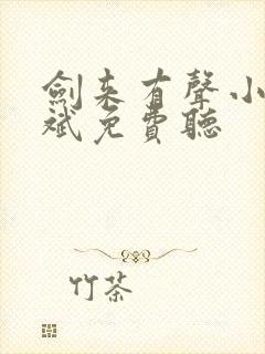 剑来有声小说大斌免费听