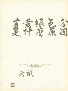 有黄绿色分泌物是什么原因