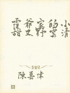 霍爷家的小祖宗甜又野云清霍景深