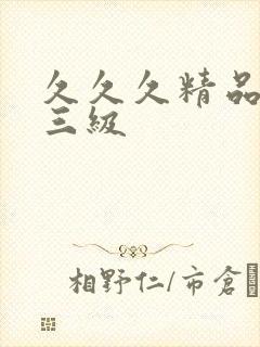 久久久精品国产三级