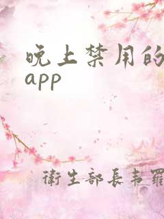 晚上禁用的十大app