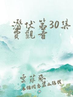 潜伏第30集免费观看