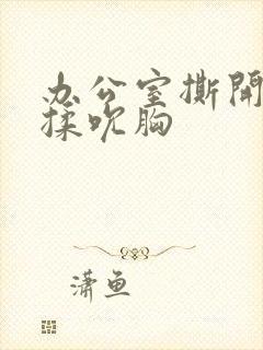 办公室撕开奶罩揉吮胸