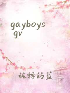 gayboys gv
