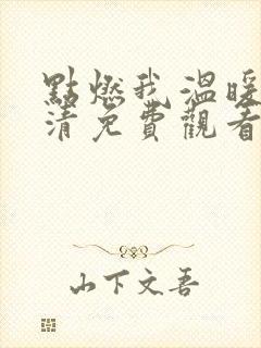 点燃我温暖你高清免费观看完整版