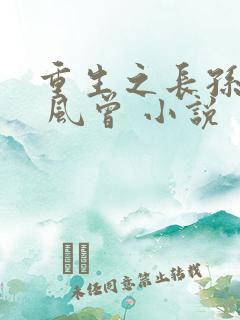 重生之长孙皇后 风曾 小说