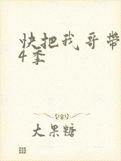快把我哥带走第4季