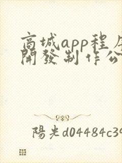 商城app程序开发制作公司