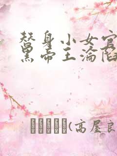 替身小女官,腹黑帝王沦陷了祁渊江清慈在