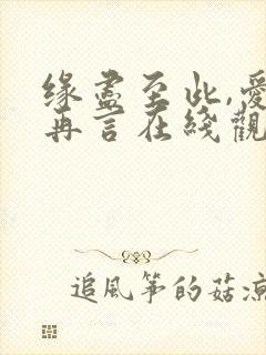 缘尽至此,爱不再言在线观看