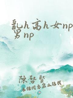 乱h高h女np男np