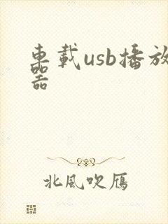 车载usb播放器