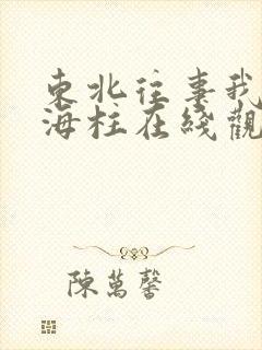 东北往事我叫刘海柱在线观看