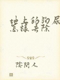 地上的狗尿味道怎样去除