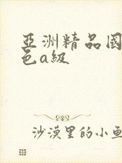 亚洲精品国产黄色a级