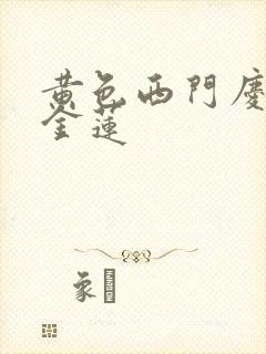 黄色西门庆与潘金莲