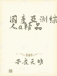 国产亚洲综合成人a精品