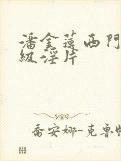 潘金莲西门庆一级淫片