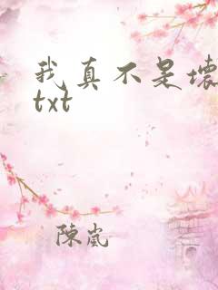 我真不是坏男人txt