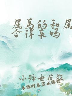 属马的和属牛的合得来吗