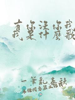 有你没你我都是我是什么歌