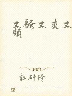 又骚又爽又黄视频