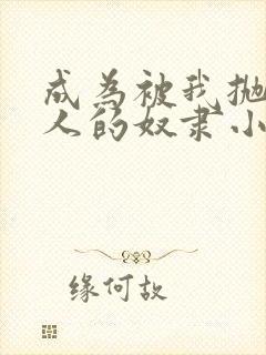 成为被我抛弃的人的奴隶小说免费阅读