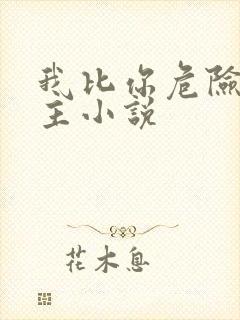 我比你危险双女主小说