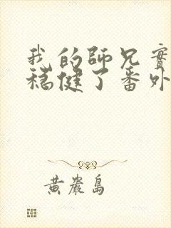 我的师兄实在太稳健了番外