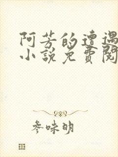 阿芳的遭遇自述小说免费阅读