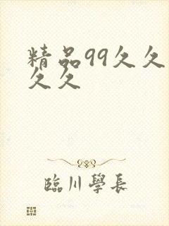 精品99久久久久久
