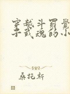 穿越斗罗觉醒竹子武魂的小说