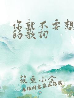 你就不要想起我的歌词