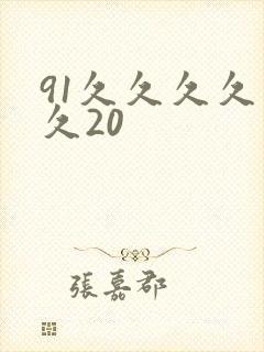 91久久久久久久20