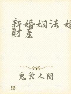 新婚姻法 婚前财产